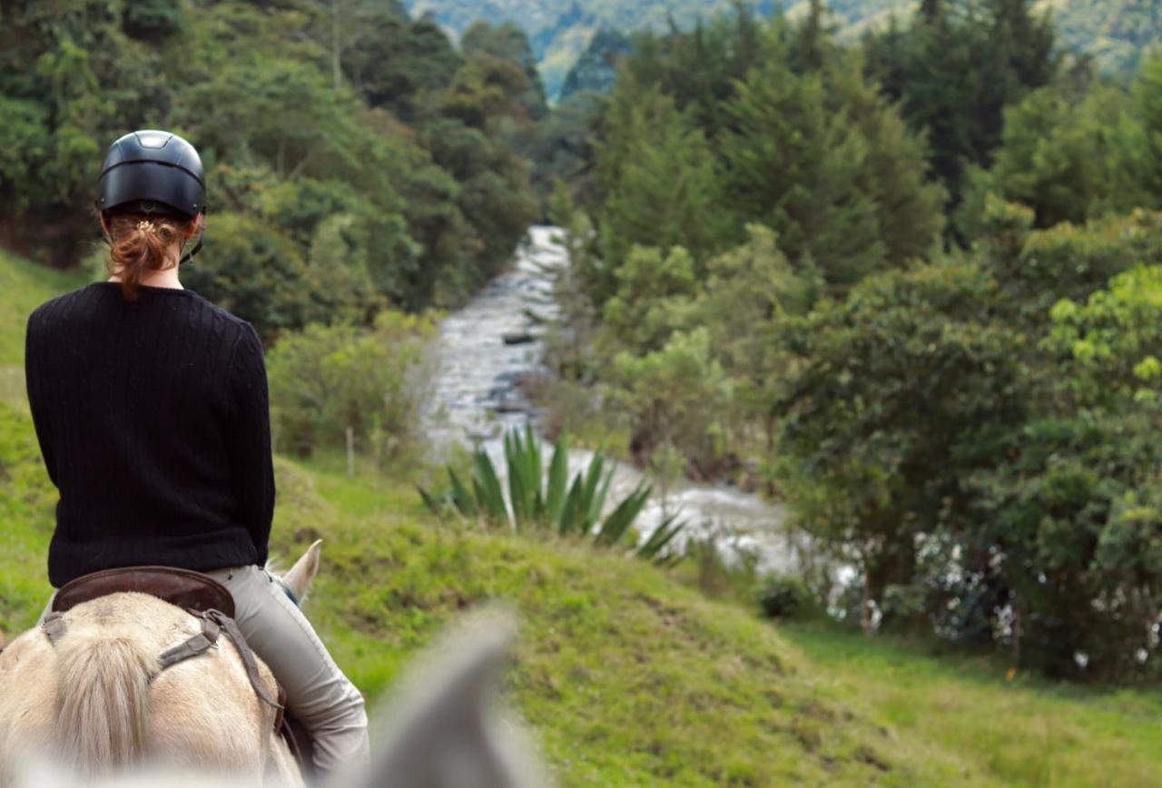 La Cabana Ecohotel - Valle Del Cocora 살렌토 외부 사진