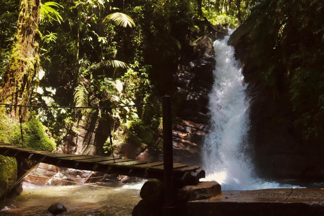 La Cabana Ecohotel - Valle Del Cocora 살렌토 외부 사진
