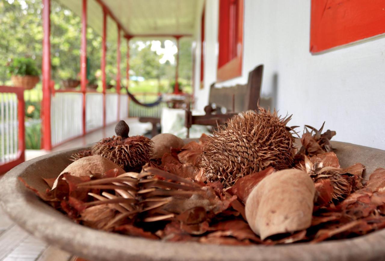 La Cabana Ecohotel - Valle Del Cocora 살렌토 외부 사진