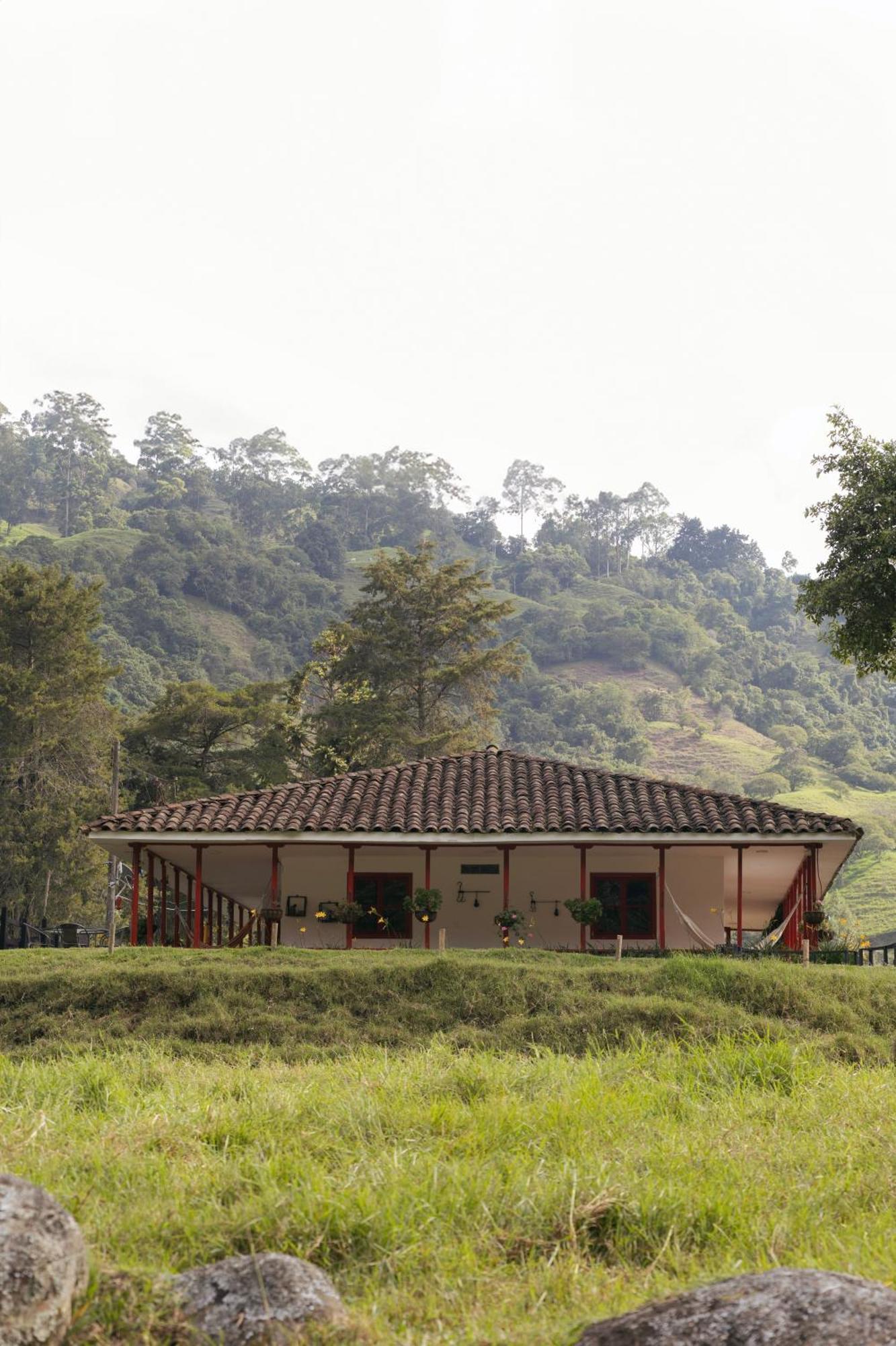La Cabana Ecohotel - Valle Del Cocora 살렌토 외부 사진