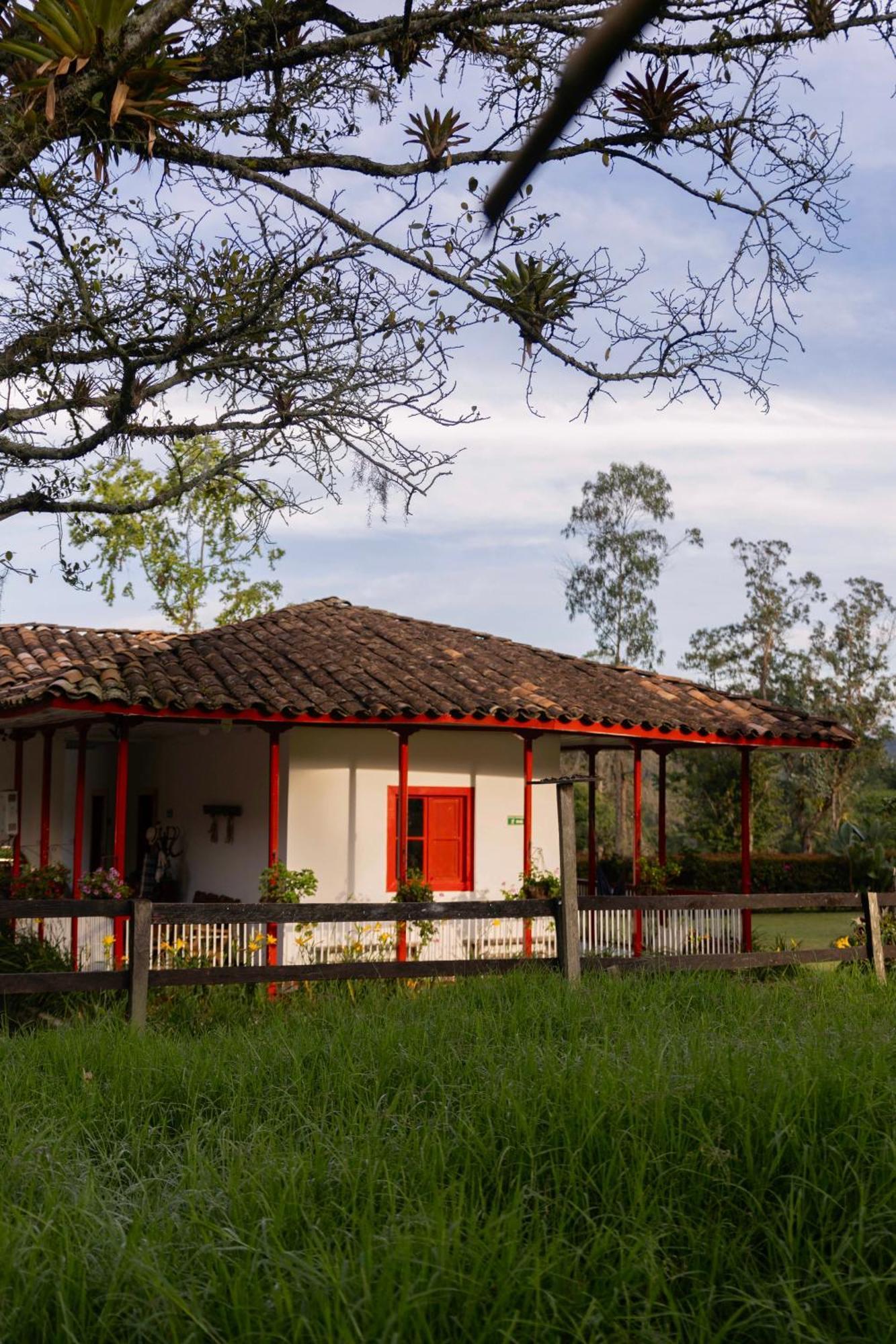 La Cabana Ecohotel - Valle Del Cocora 살렌토 외부 사진
