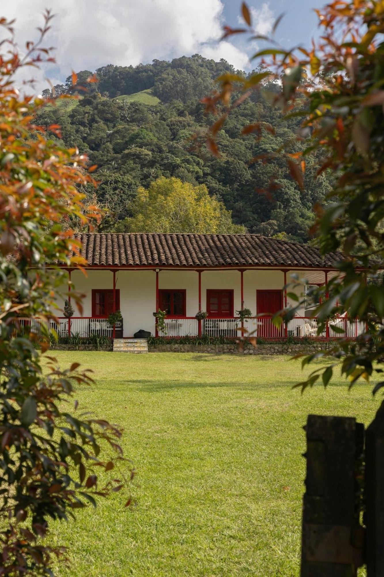 La Cabana Ecohotel - Valle Del Cocora 살렌토 외부 사진