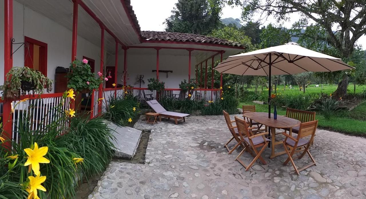 La Cabana Ecohotel - Valle Del Cocora 살렌토 외부 사진